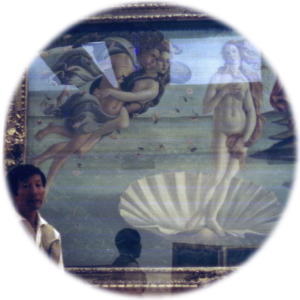 Enter the Gallery