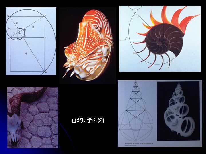 自然に学んだかたち-３へ